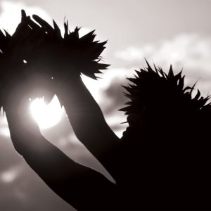 Hooikaika Ohana - Page